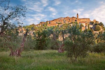 alla scoperta di seggiano